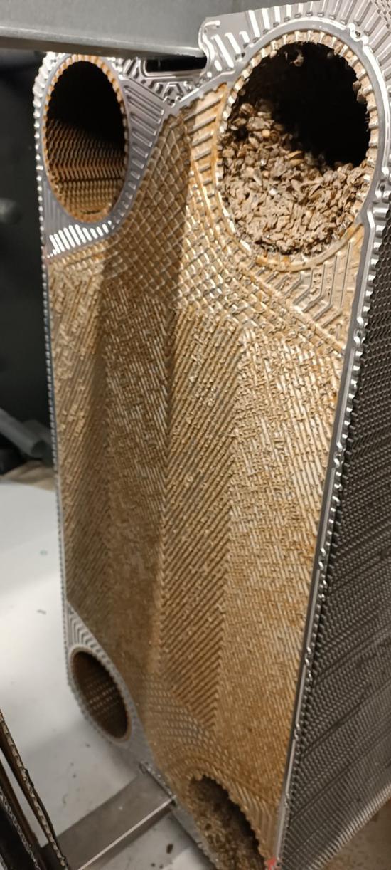 Mit Muscheln verunreinigter Plattenwärmetasucher
